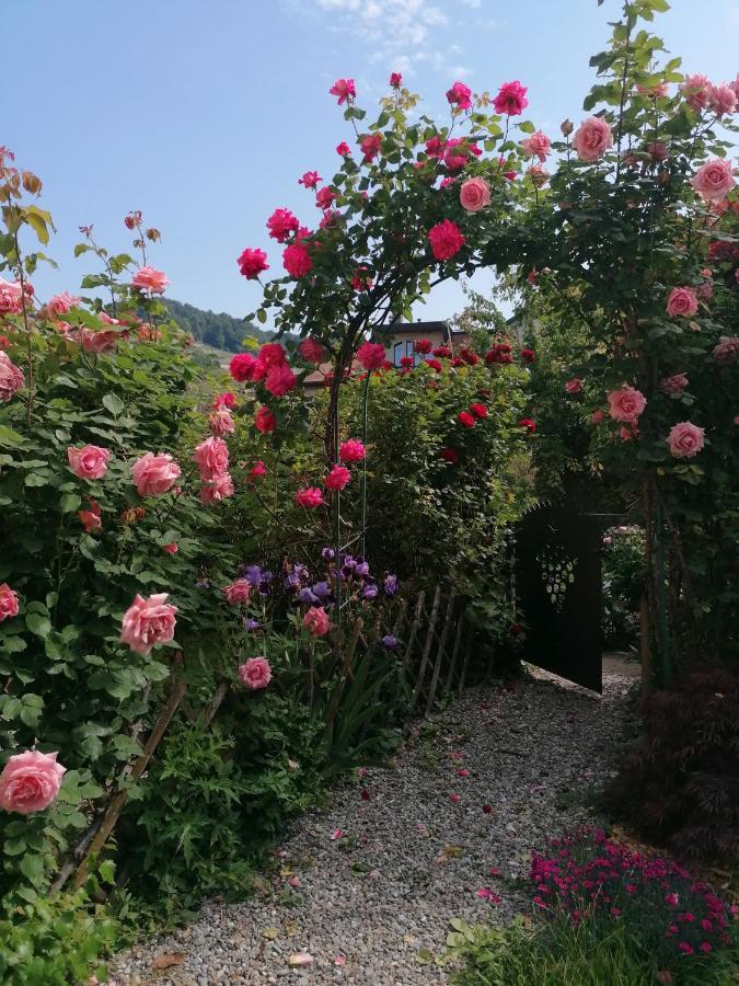 B&B 7E Art Vevey Exteriör bild
